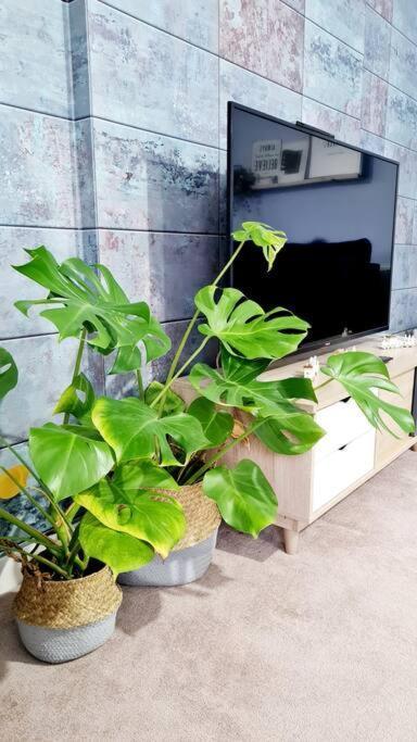 Stylish 2 Bedroom Apartment / Free Gated Parking Glasgow Zewnętrze zdjęcie